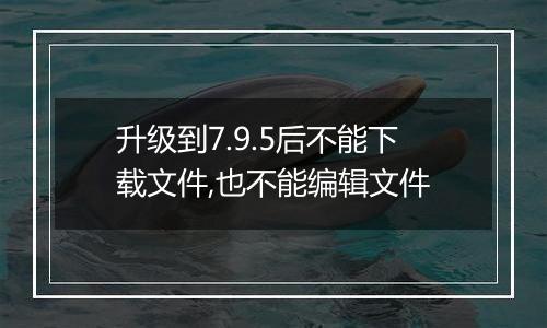 升级到7.9.5后不能下载文件,也不能编辑文件