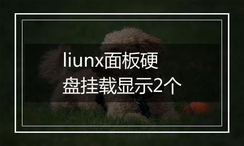 liunx面板硬盘挂载显示2个