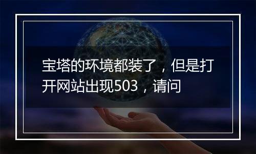 宝塔的环境都装了,但是打开网站出现503,请问