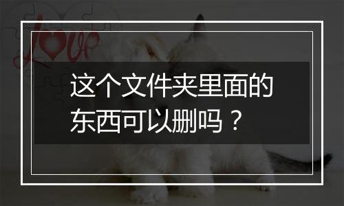 这个文件夹里面的东西可以删吗?