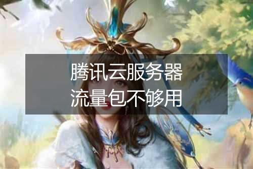 腾讯云服务器流量包不够用