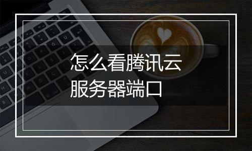 怎么看腾讯云服务器端口