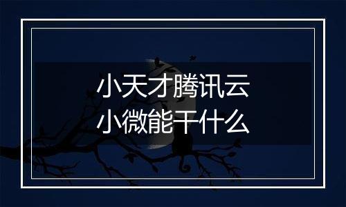 小天才腾讯云小微能干什么