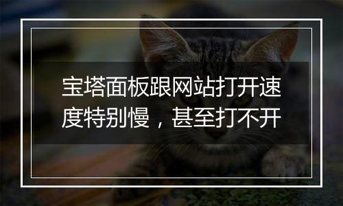 宝塔面板跟网站打开速度特别慢,甚至打不开