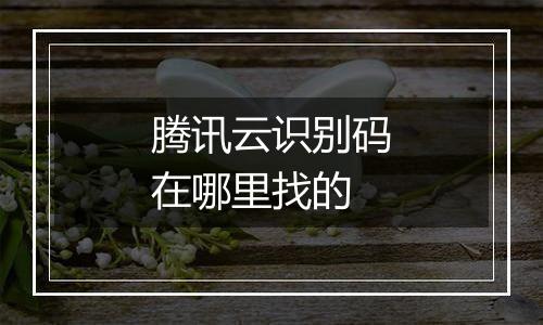 腾讯云识别码在哪里找的