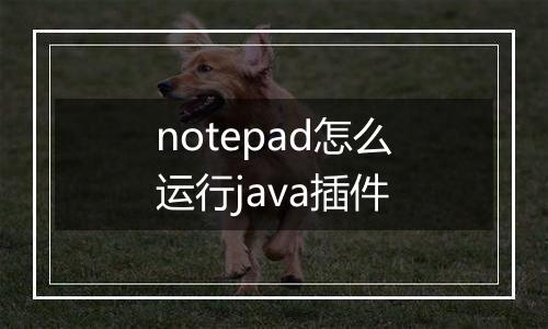notepad怎么运行java插件