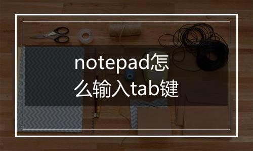 notepad怎么输入tab键