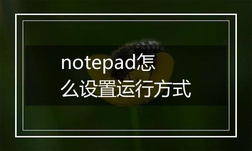 notepad怎么设置运行方式