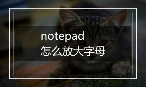 notepad怎么放大字母