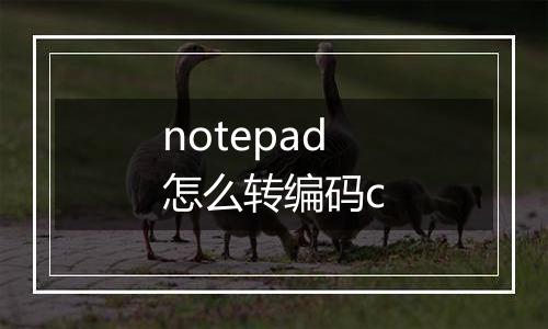 notepad怎么转编码c
