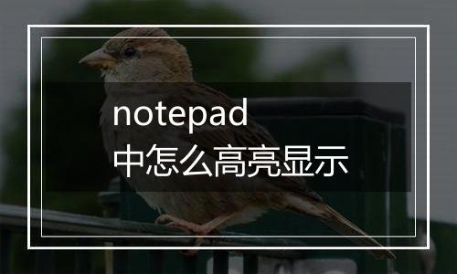notepad中怎么高亮显示