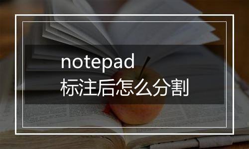 notepad标注后怎么分割