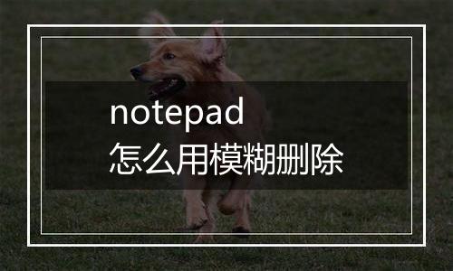 notepad怎么用模糊删除
