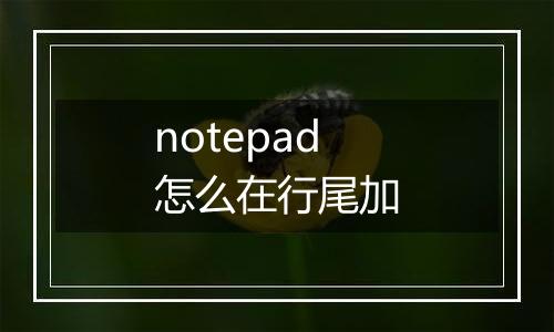 notepad怎么在行尾加