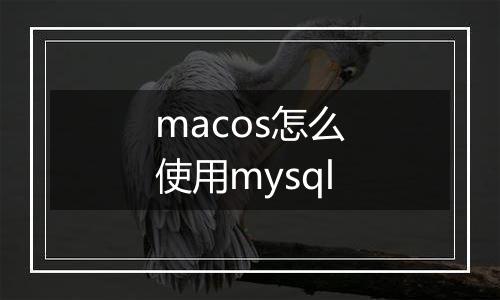 macos怎么使用mysql