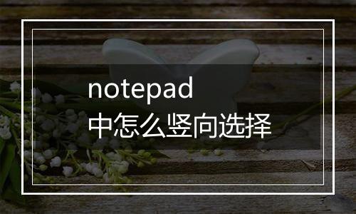notepad中怎么竖向选择