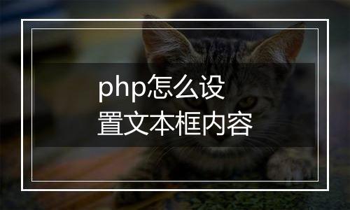 php怎么设置文本框内容