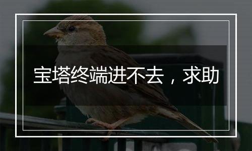 宝塔终端进不去，求助