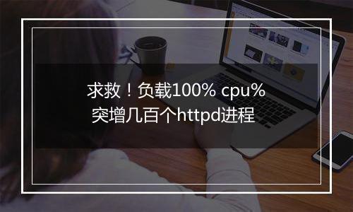 求救！负载100% cpu% 突增几百个httpd进程