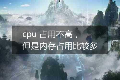 cpu 占用不高,但是内存占用比较多