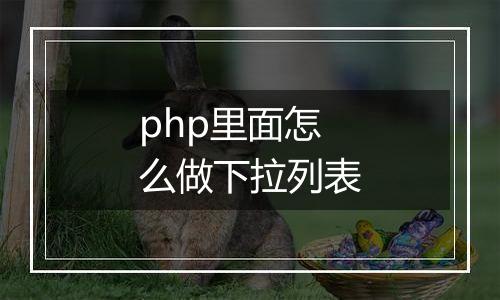 php里面怎么做下拉列表