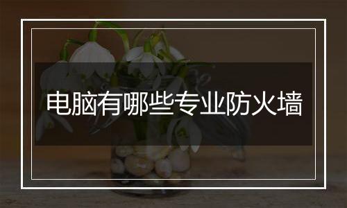 电脑有哪些专业防火墙