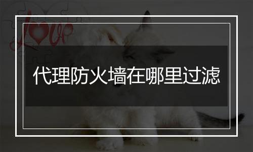 代理防火墙在哪里过滤