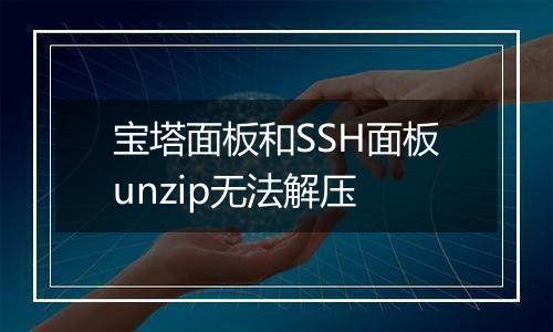 宝塔面板和SSH面板unzip无法解压