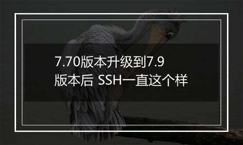 7.70版本升级到7.9版本后 SSH一直这个样