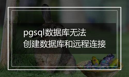 pgsql数据库无法创建数据库和远程连接