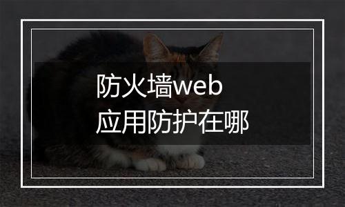 防火墙web应用防护在哪