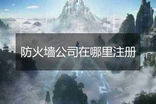 防火墙公司在哪里注册