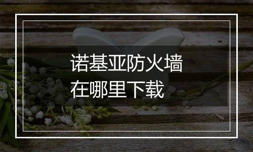 诺基亚防火墙在哪里下载