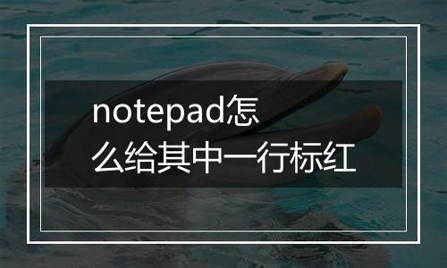 notepad怎么给其中一行标红