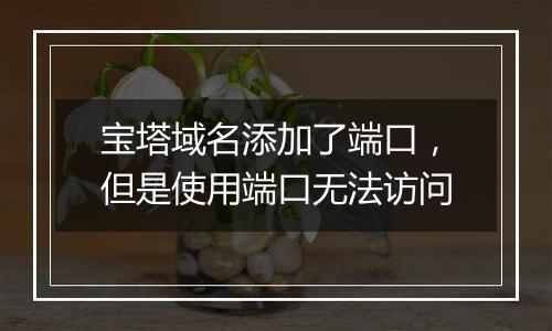 宝塔域名添加了端口,但是使用端口无法访问