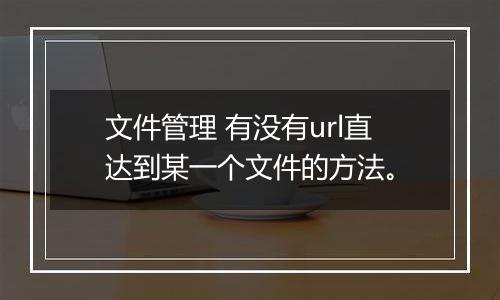 文件管理 有没有url直达到某一个文件的方法。