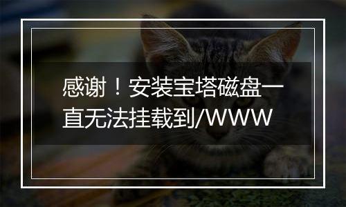 感谢！安装宝塔磁盘一直无法挂载到/WWW