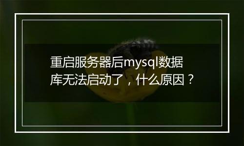 重启服务器后mysql数据库无法启动了,什么原因?