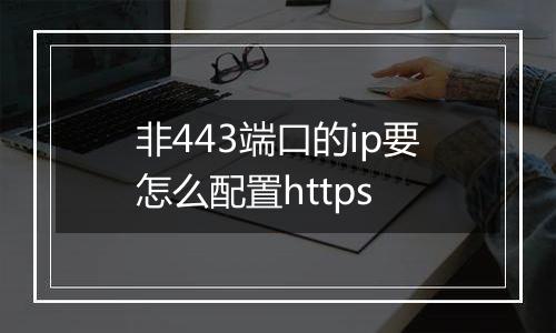 非443端口的ip要怎么配置https
