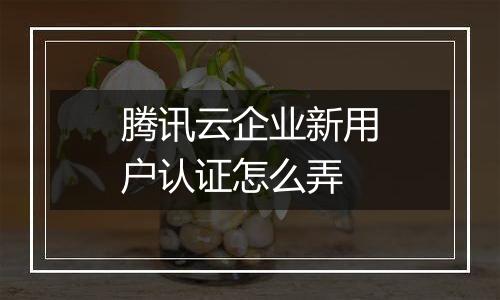 腾讯云企业新用户认证怎么弄