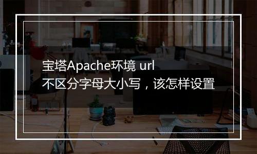 宝塔Apache环境 url不区分字母大小写，该怎样设置