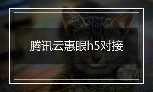 腾讯云惠眼h5对接