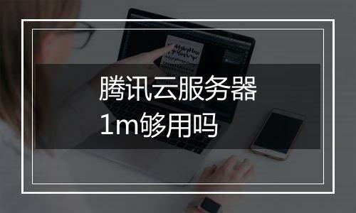 腾讯云服务器1m够用吗
