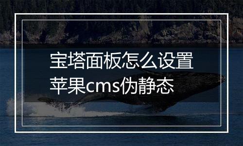 宝塔面板怎么设置苹果cms伪静态