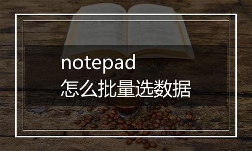 notepad怎么批量选数据