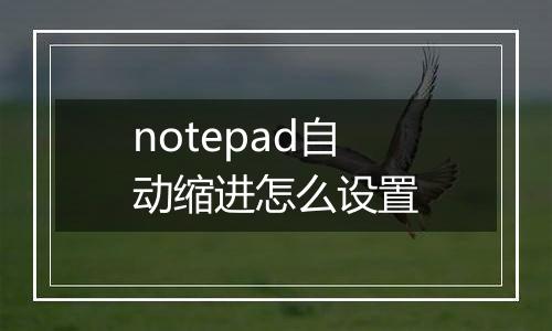 notepad自动缩进怎么设置