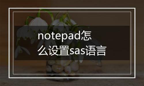 notepad怎么设置sas语言