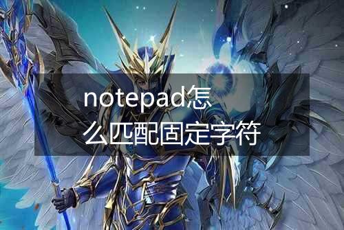 notepad怎么匹配固定字符