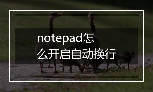 notepad怎么开启自动换行