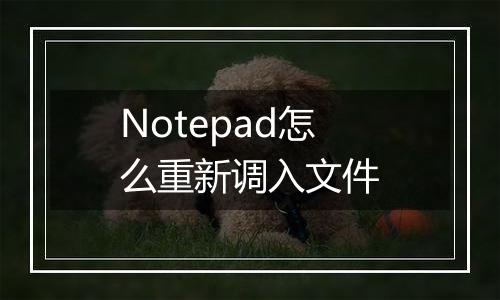 Notepad怎么重新调入文件